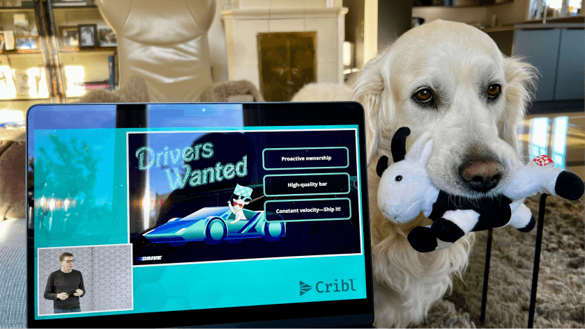 Cribl Dog Cribl Dog